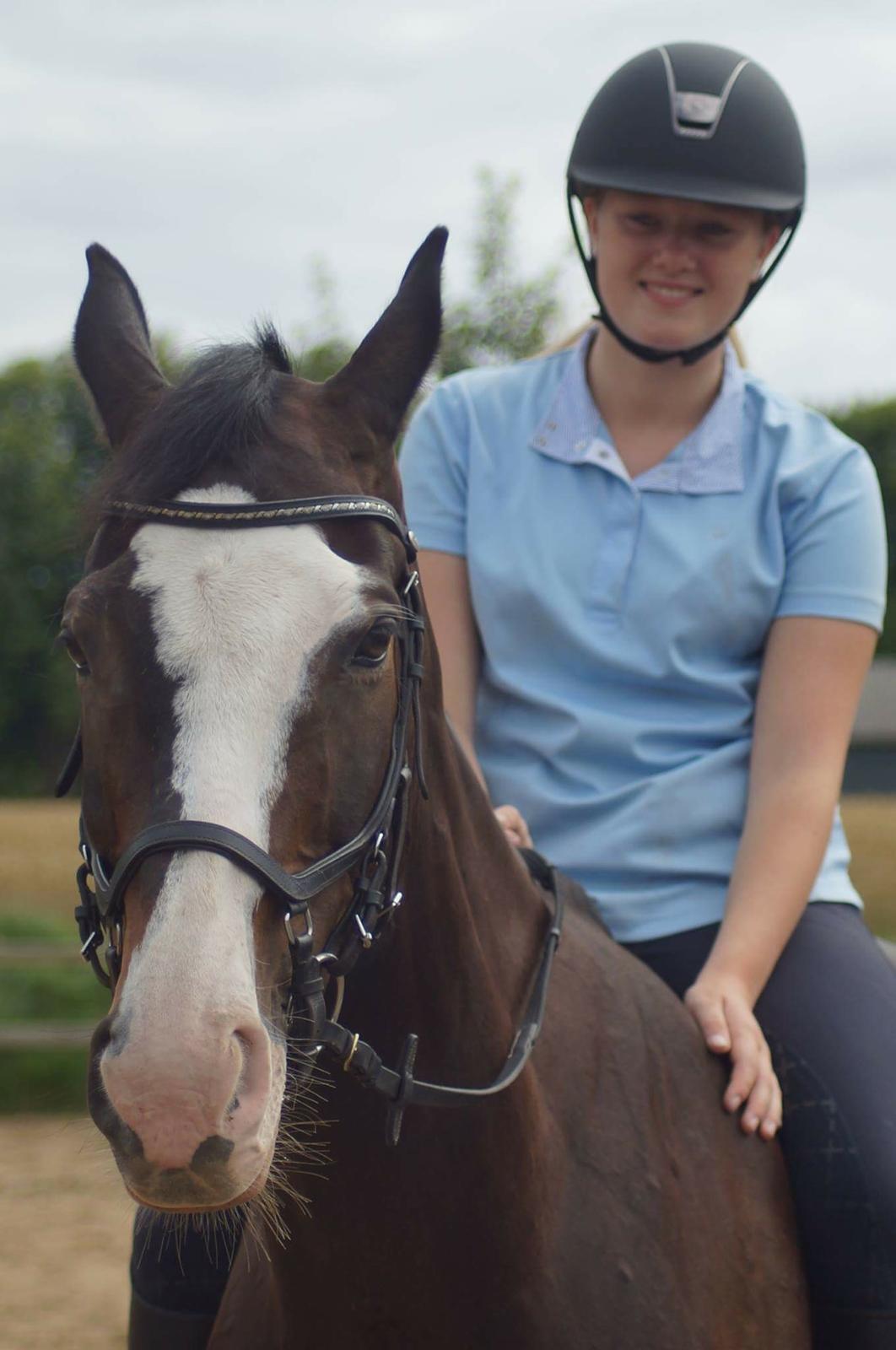 Hollandsk Varmblod Zarona R.I.P  billede 46