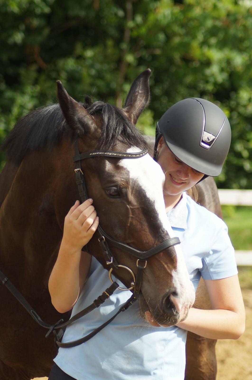 Hollandsk Varmblod Zarona R.I.P  billede 29