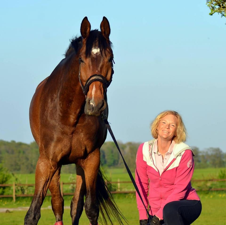 Dansk Varmblod Søkjær's spirit  R.I.P billede 1