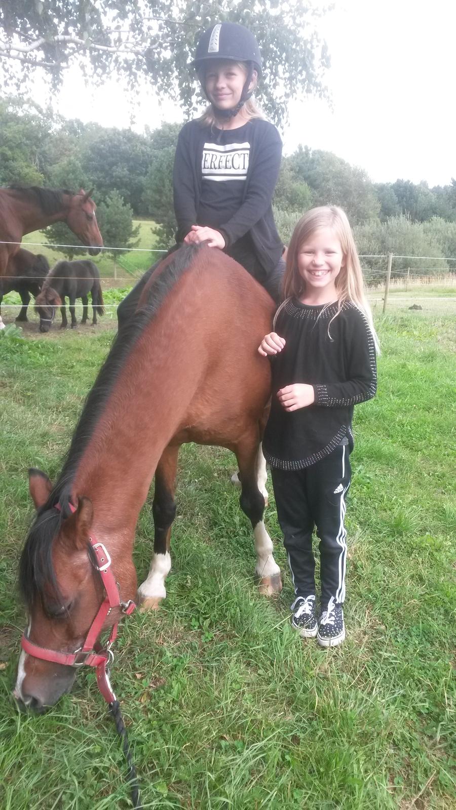 Anden særlig race Jasmin - Nikoline og silje mine niecers første møde med Jasmin og første gang hun har rytter på siden december billede 10