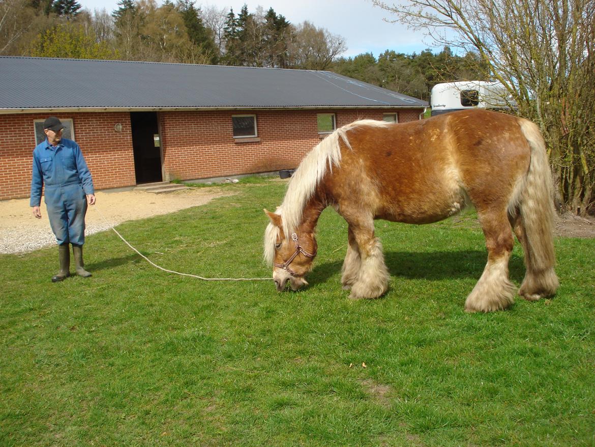 Jyde Majse tindbæklund billede 10
