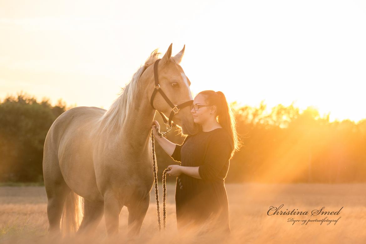 Palomino Kvolsbæk's Exclusive Enya - Fotograf Christina Smed <3 billede 1