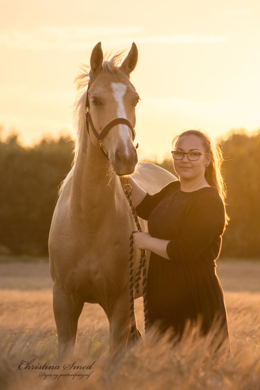 Palomino Kvolsbæk's Exclusive Enya - Me and my best friend <3 Fotograf Christina Smed billede 17