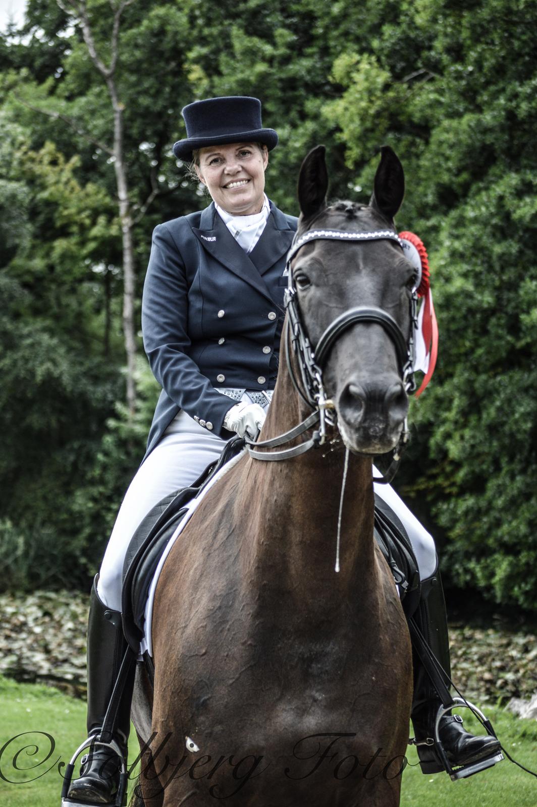 Trakehner V-Power Horsebo - Broholm 2016 billede 9