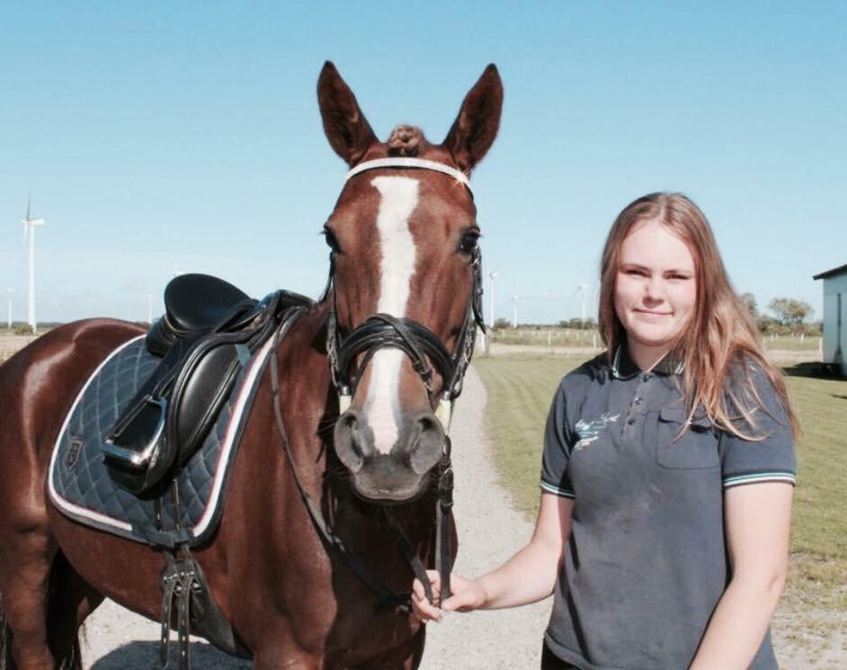 Anden særlig race Kirkely's Kida billede 8