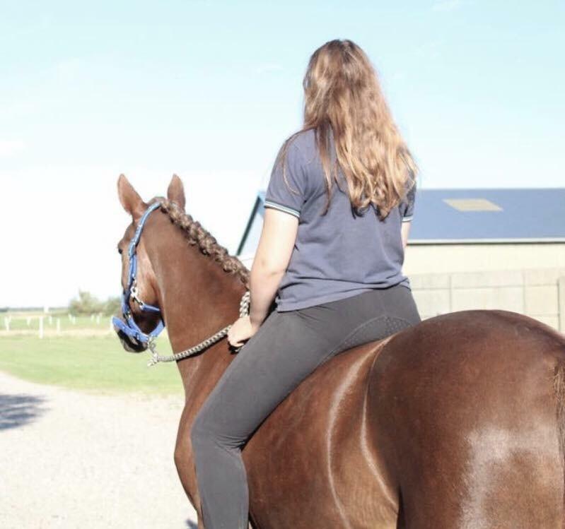 Anden særlig race Kirkely's Kida billede 11