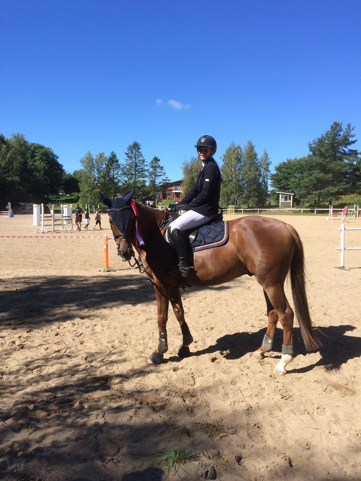 Dansk Varmblod Lunds Intermezzo - Klubmester NØR spring 2016 billede 17