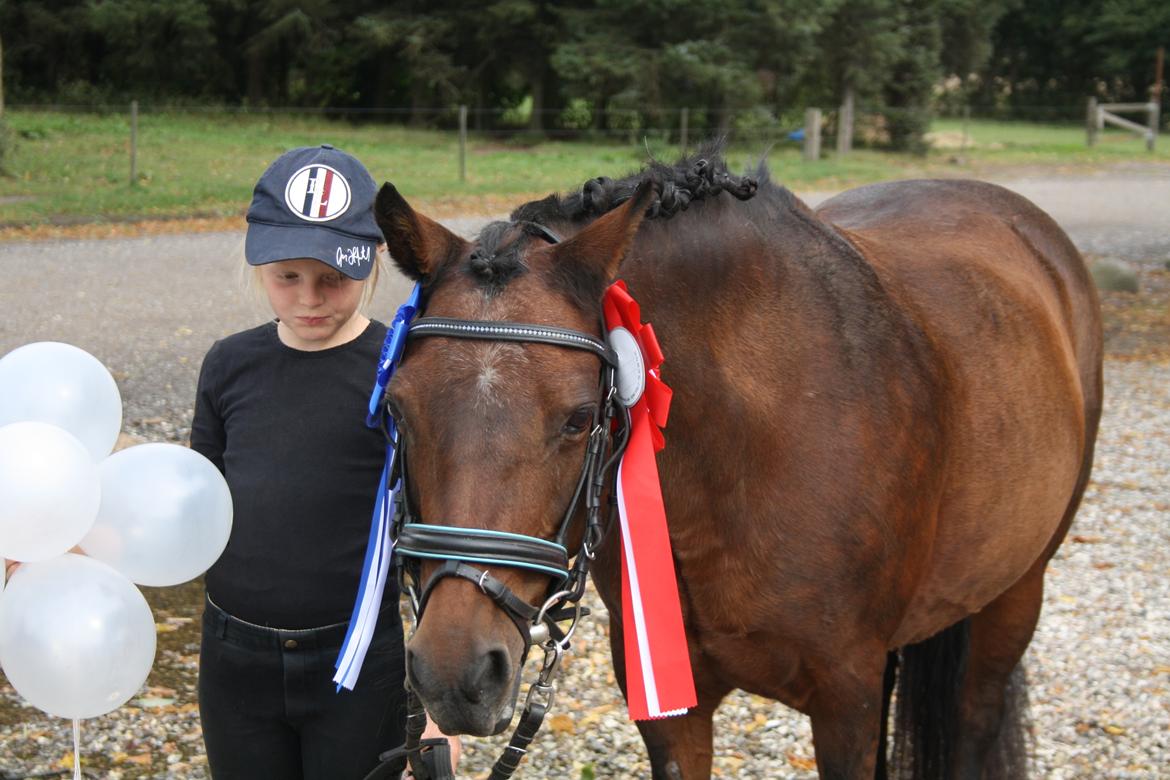 Anden særlig race Zoya billede 16