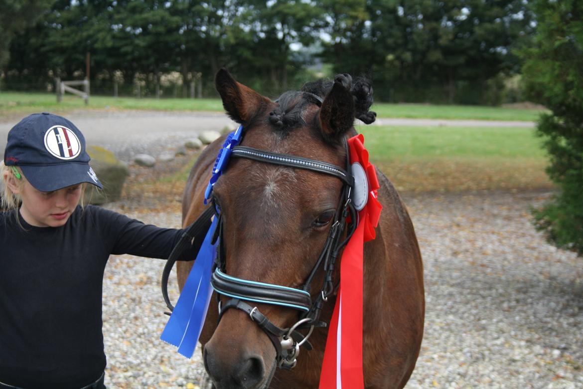 Anden særlig race Zoya billede 15