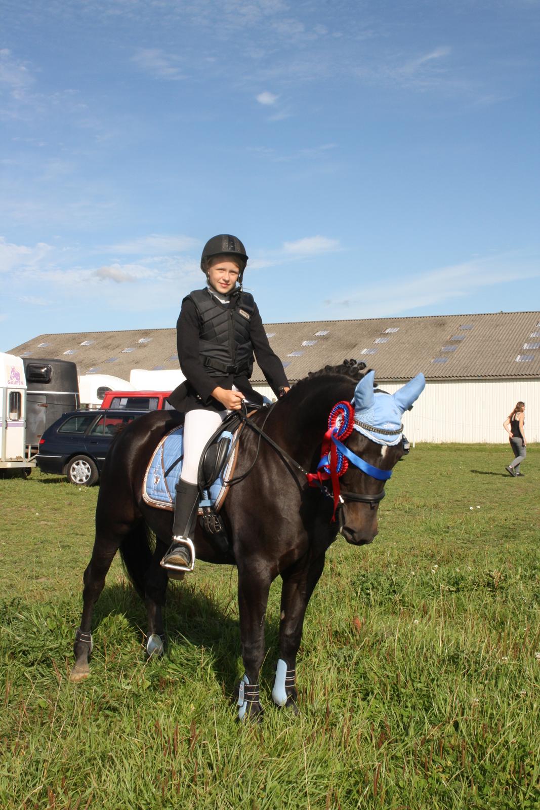 New Forest Elmholts Desiré - 27. august 2016. To fejlfri runder. billede 15