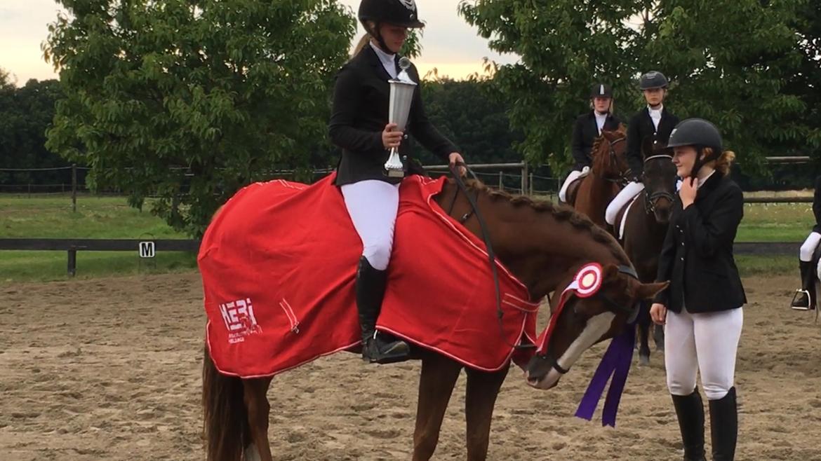 Pinto Hejninges Herkules billede 15