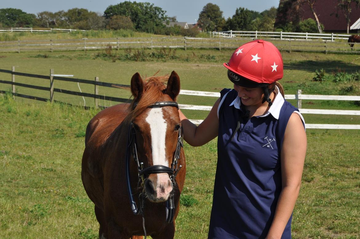 Anden særlig race Rødstjerne ( Chili)  billede 3