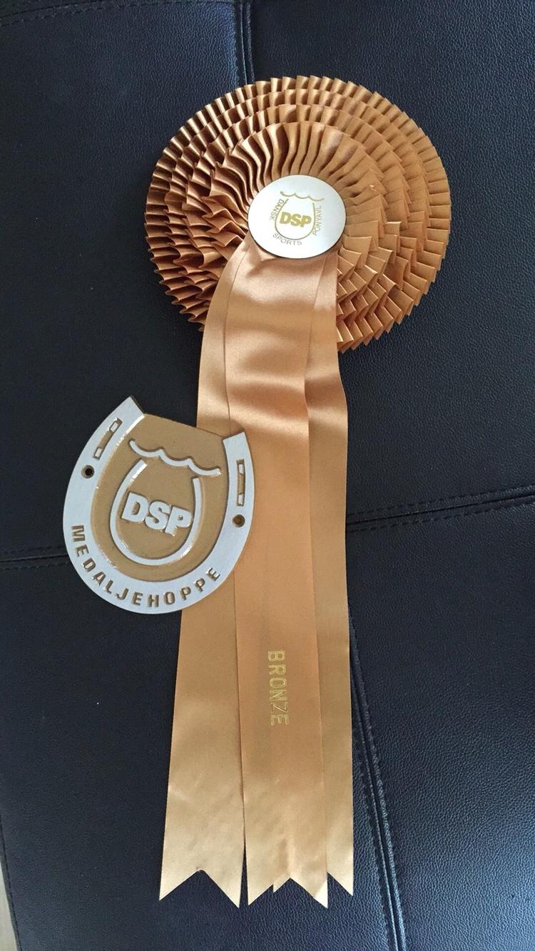 Welsh Partbred (Sec F) Petrasmindes Cirkeline billede 18