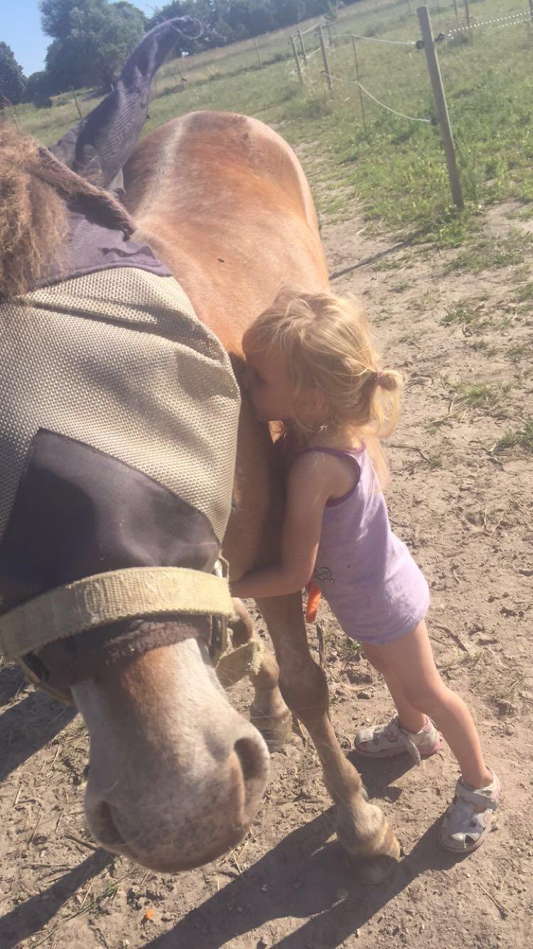 Anden særlig race Scania *AFLIVET* billede 9