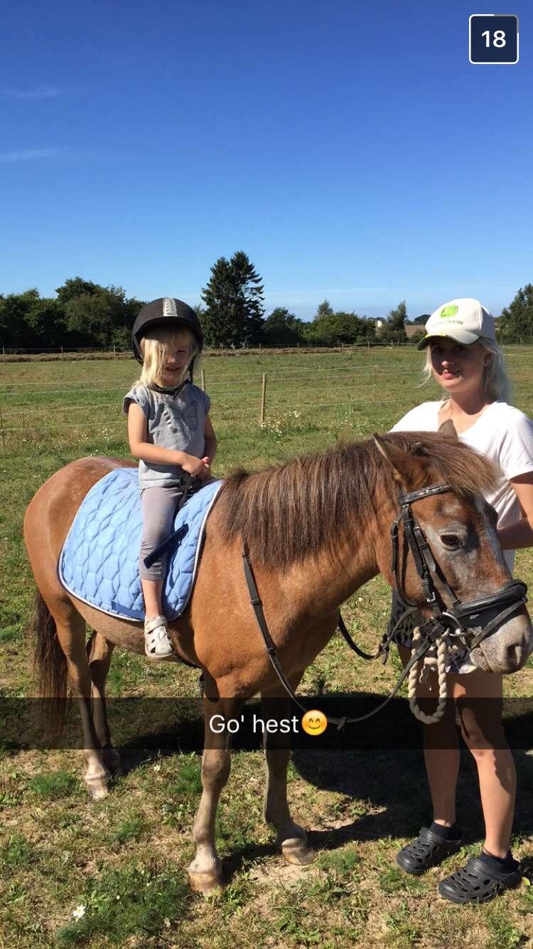 Anden særlig race Scania *AFLIVET* billede 10