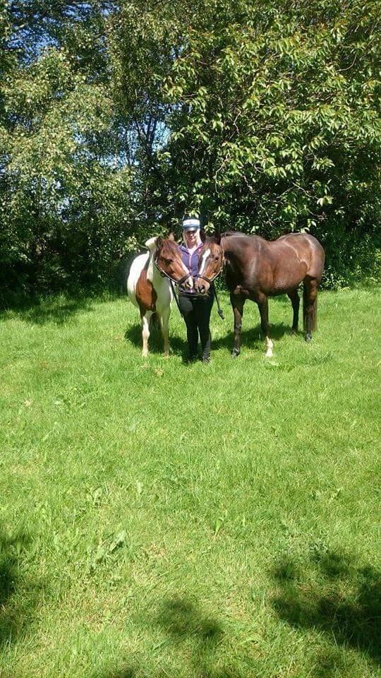 Anden særlig race Locoloco billede 11