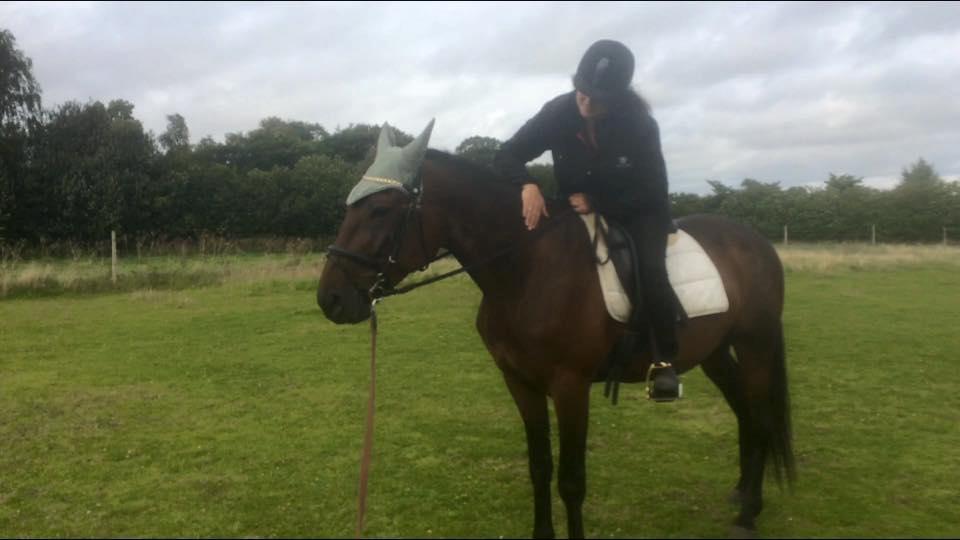 Traver Joey billede 5