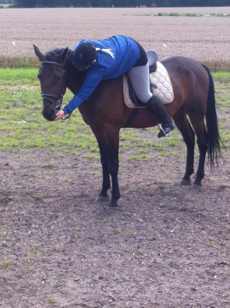 Traver Joey billede 4