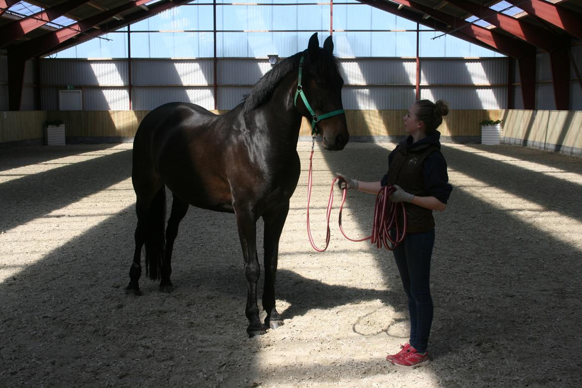Anden særlig race Casino Royale(Black Star) - Min smukke mørke stjerne <3 billede 20
