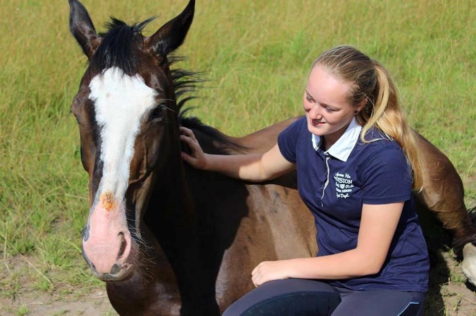 Hollandsk Varmblod Zarona R.I.P  billede 5