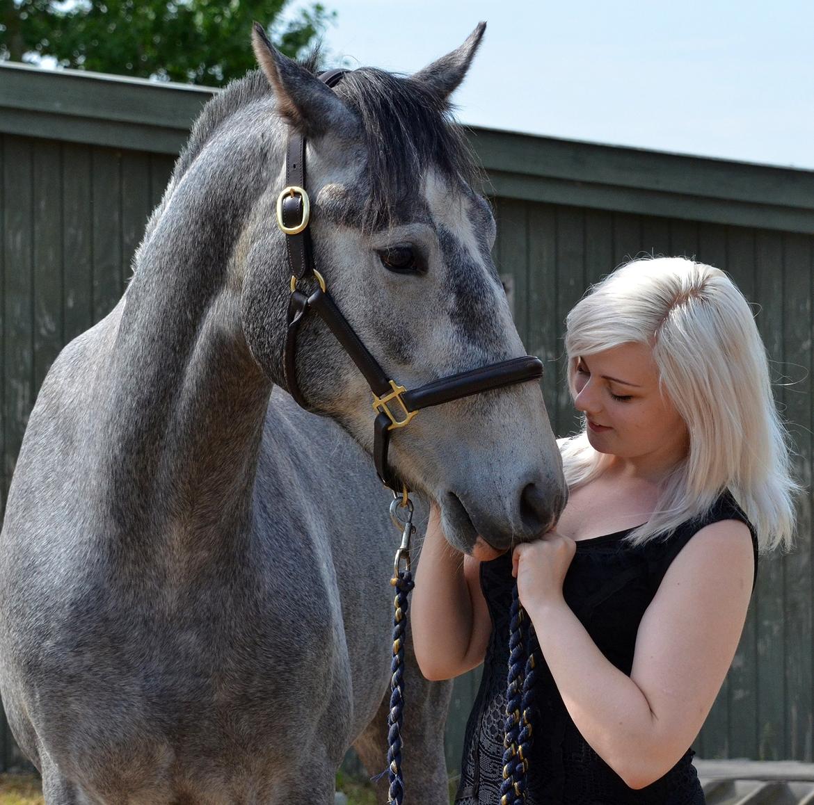 Barockpferd Nordlicht's Anarchy - Anarchy og jeg på vores 3 og 23 års fødselsdag  billede 1