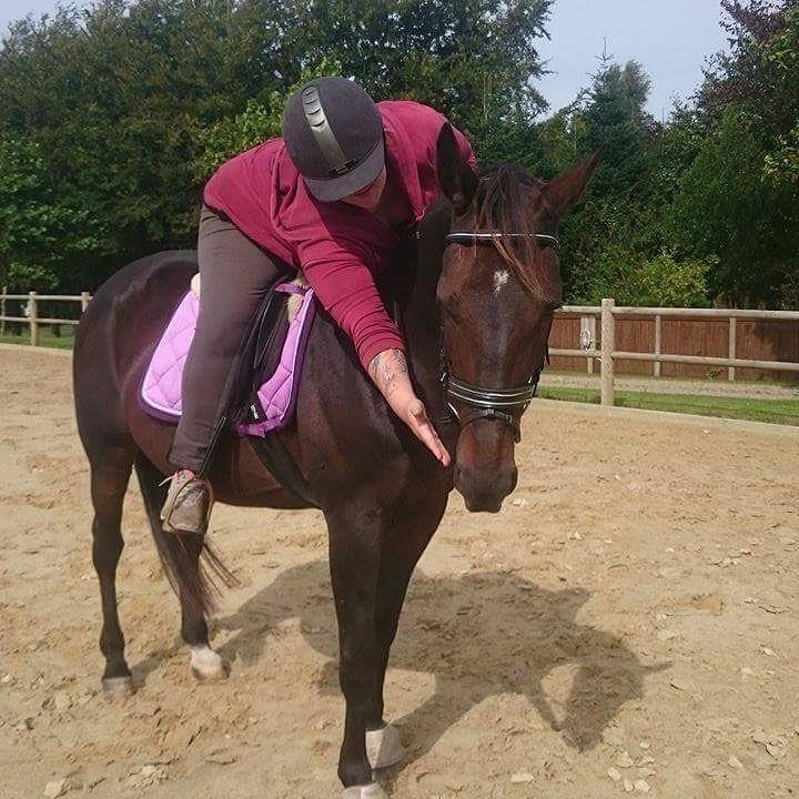 Traver Lady's Chill billede 1