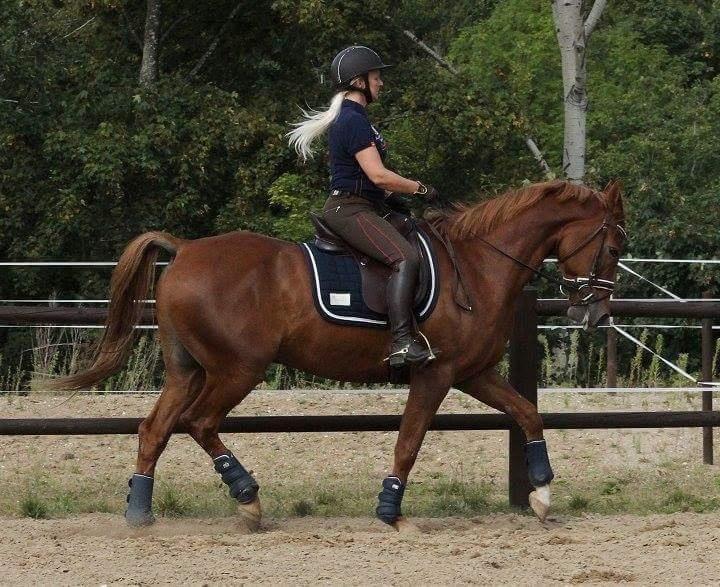 Anden særlig race Sweet Marquis (Tak for 2 fantastiske år) billede 5