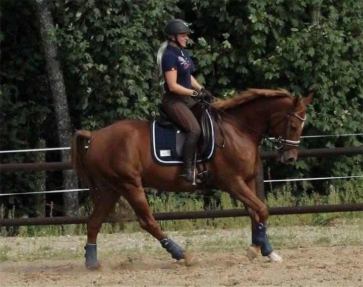 Anden særlig race Sweet Marquis (Tak for 2 fantastiske år) billede 6