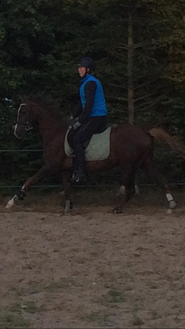 Anden særlig race de Rosche´s Turbo Speed billede 21