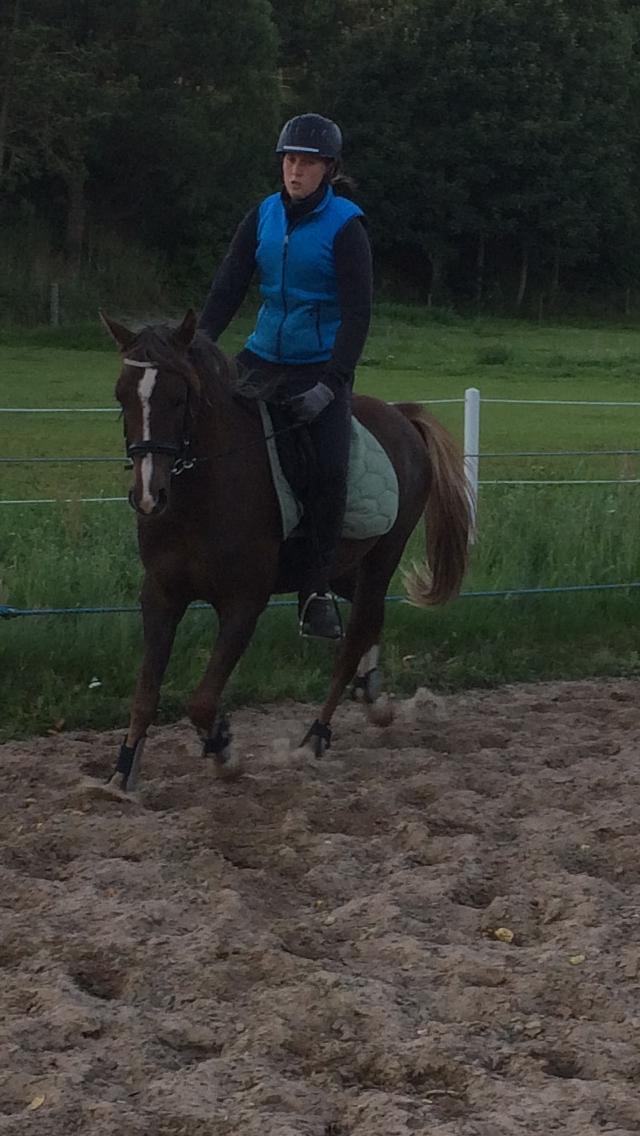 Anden særlig race de Rosche´s Turbo Speed billede 20