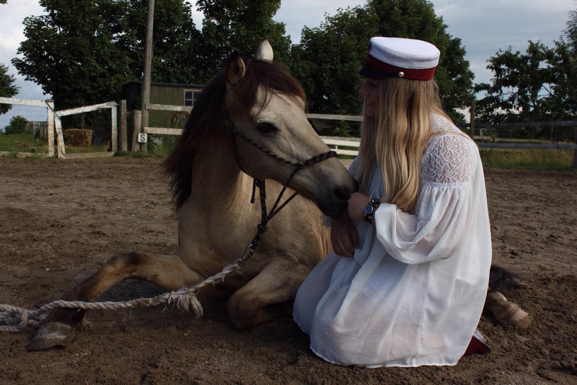 Anden særlig race Poppelgårdens Don billede 1