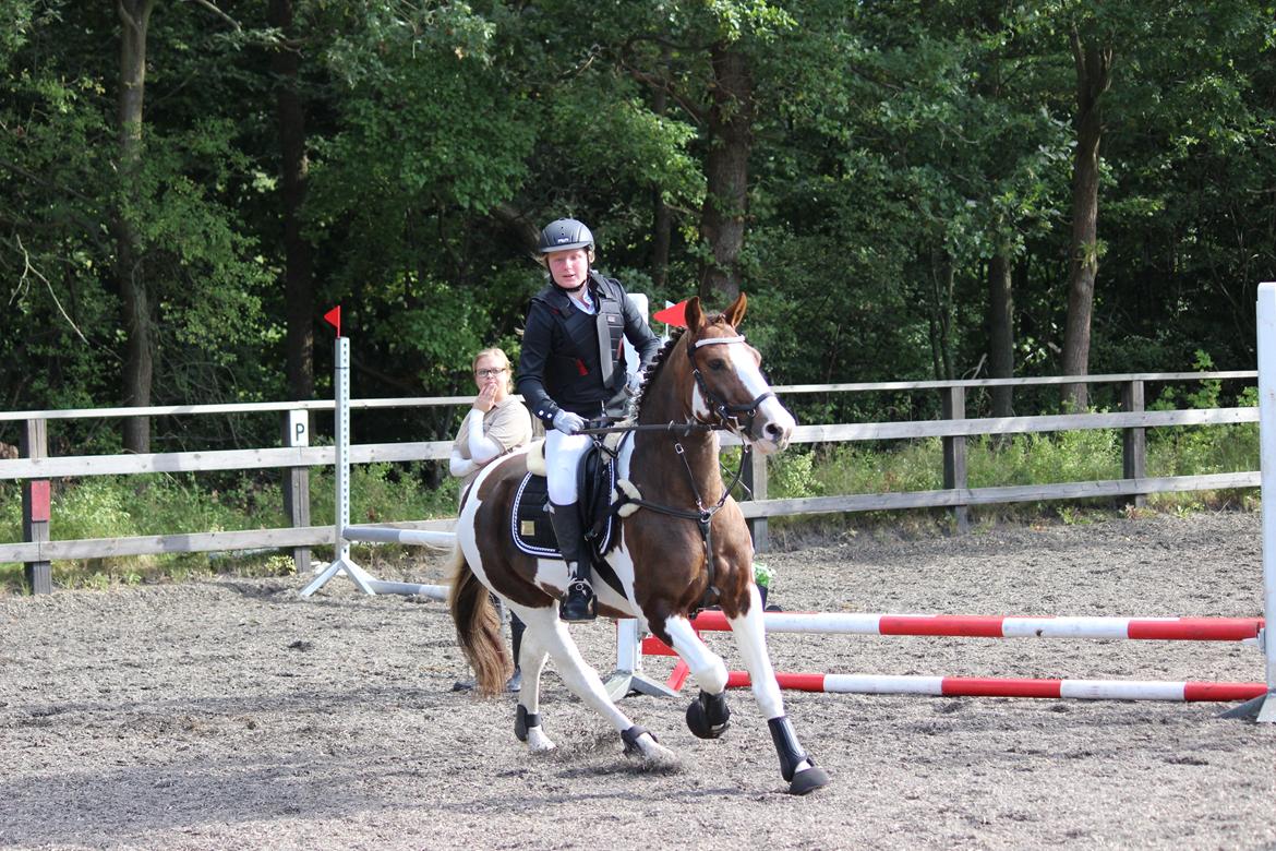 Pinto Handson/Flødebollen<3 billede 34