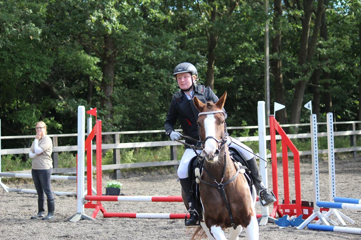 Pinto Handson/Flødebollen<3 billede 35