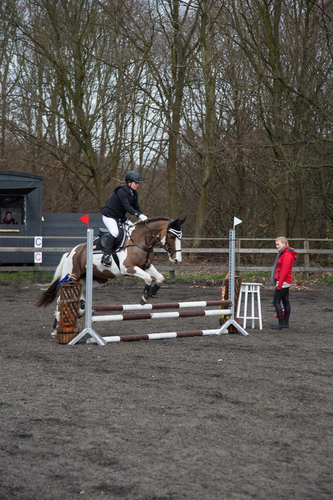 Pinto Handson/Flødebollen<3 billede 3