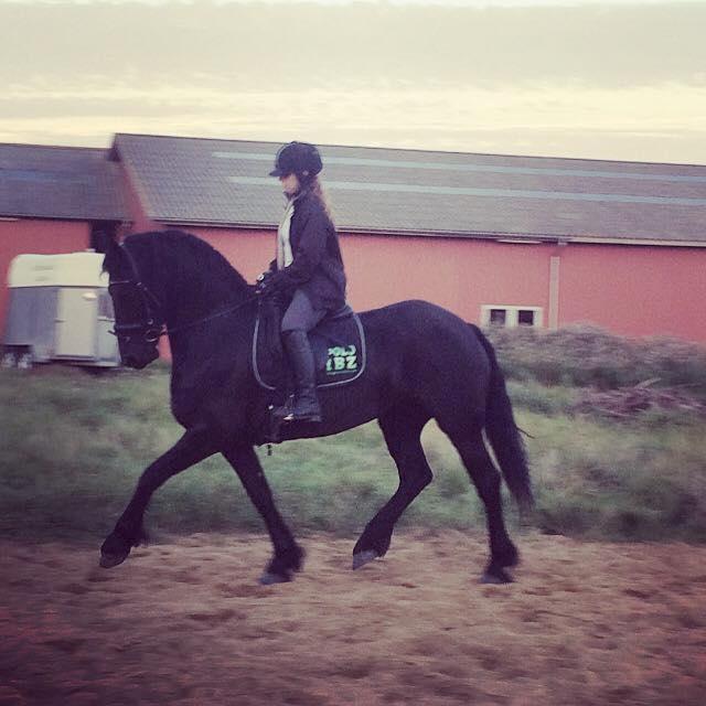 Frieser Lysbeth V. Fan skoatterlän R.I.P min skat billede 6