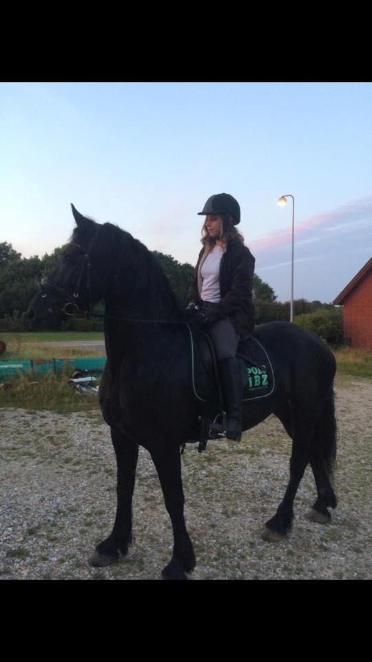 Frieser Lysbeth V. Fan skoatterlän R.I.P min skat billede 8