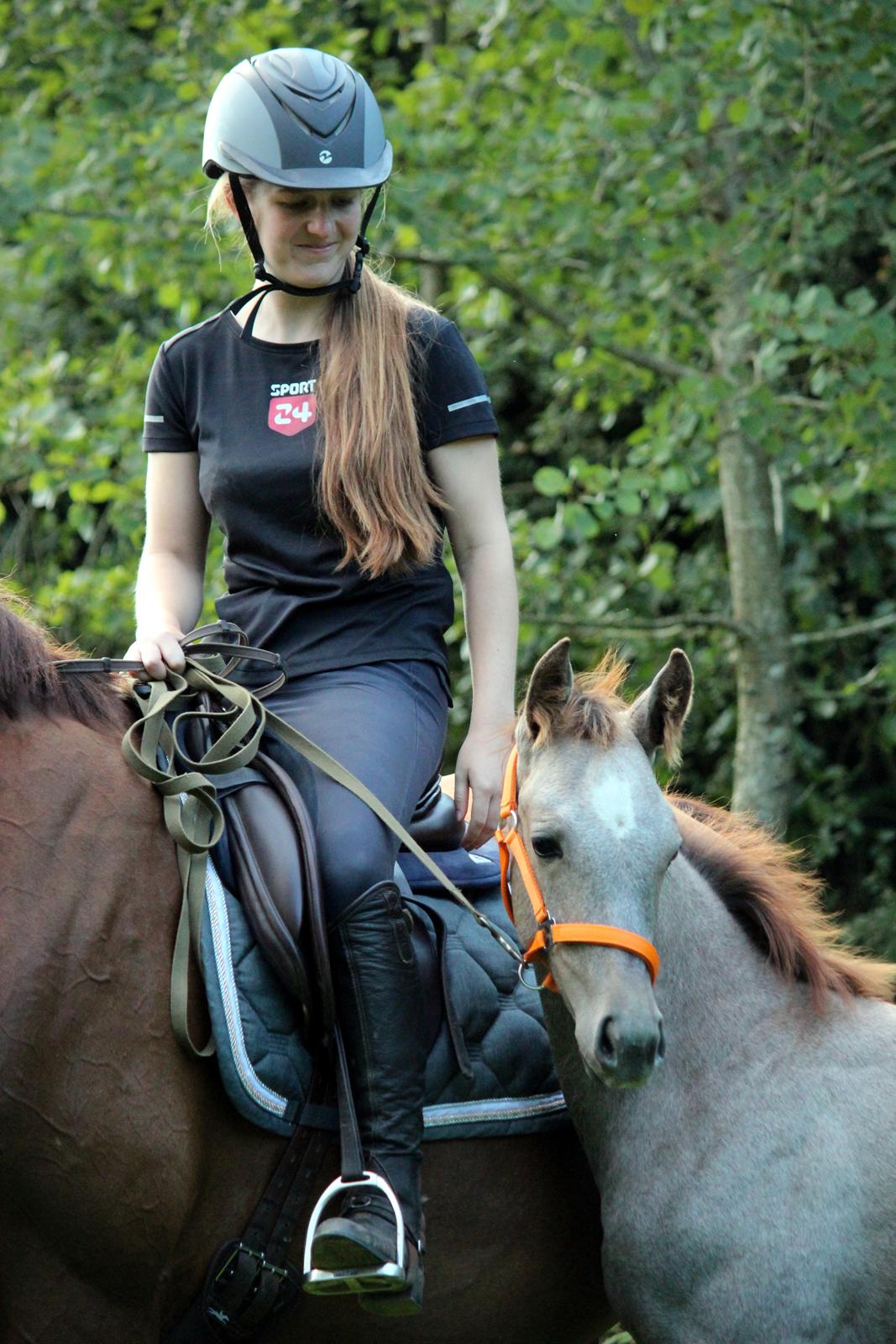 Anden særlig race Schokko La billede 13