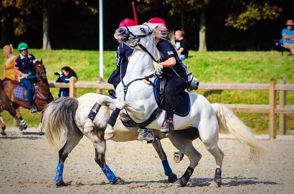 Connemara Miriam billede 4