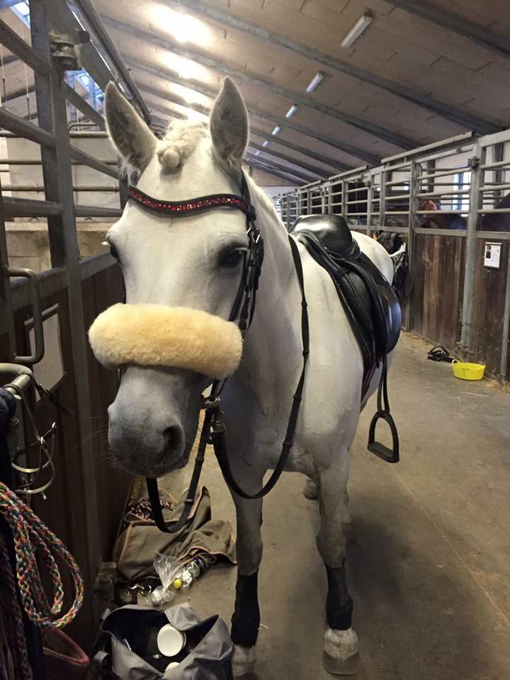 Connemara Miriam billede 17