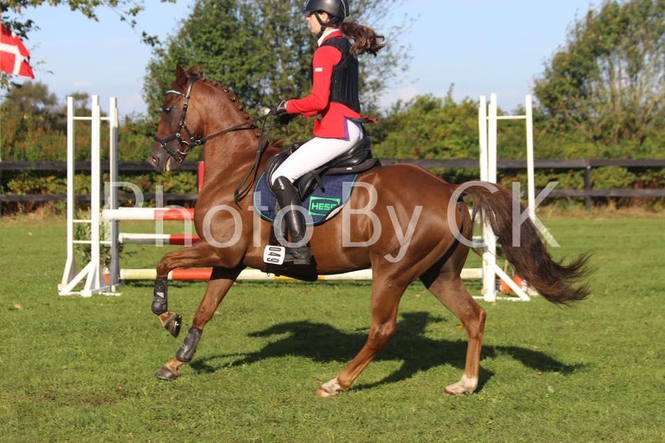 Anden særlig race Top  murdoch billede 2