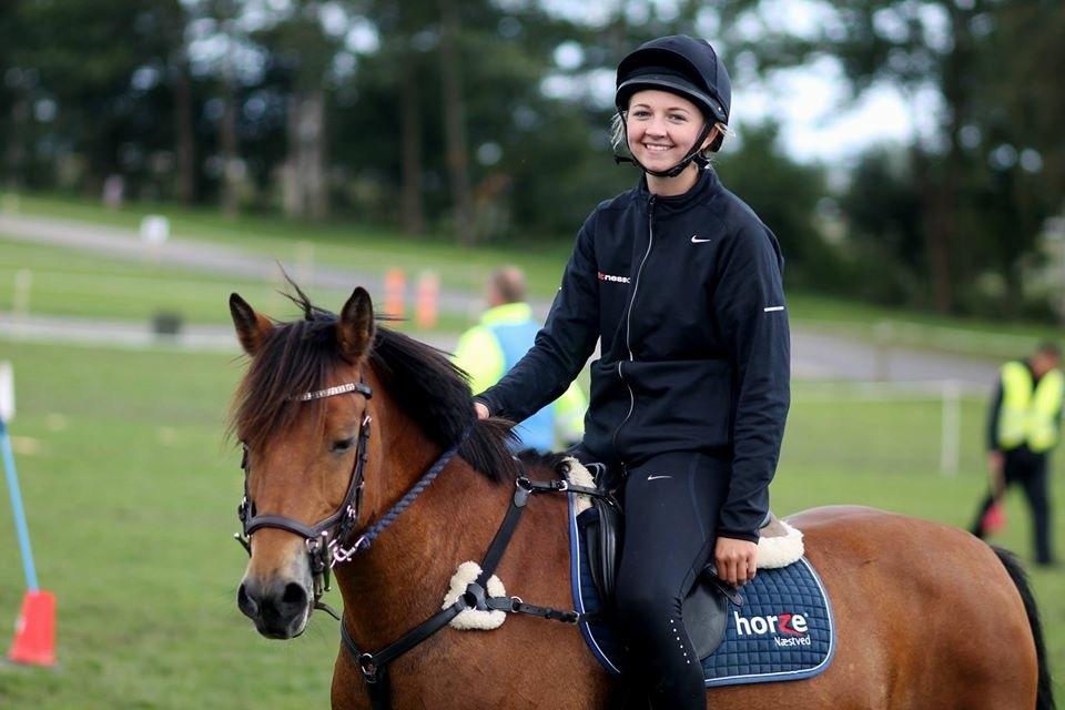 Anden særlig race Kiss Kiss Bang Bang DK • Hulken • Mit alt - Store Hestedag 2015 - min stjerne <3 billede 7