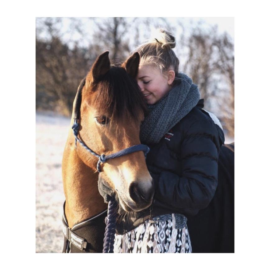 Anden særlig race Kiss Kiss Bang Bang DK • Hulken • Mit alt - // My best friend, my partner in crime, my one and only, my champ - Kiss Kiss Bang Bang DK, your are loved <3 // billede 1