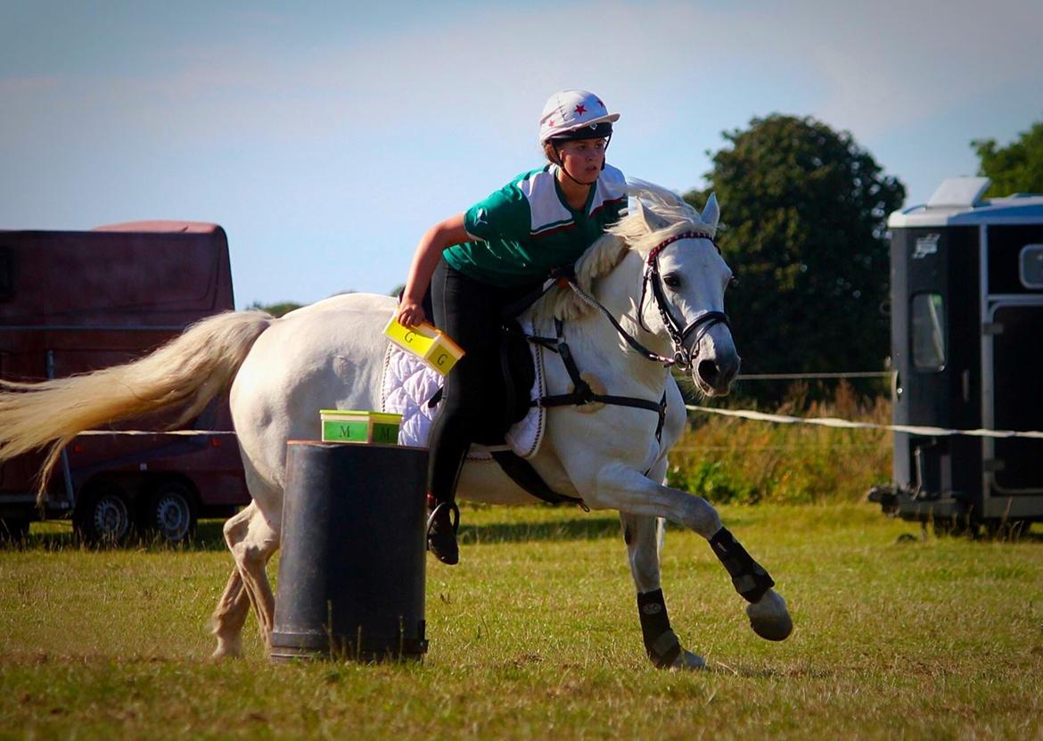 Connemara Miriam billede 18