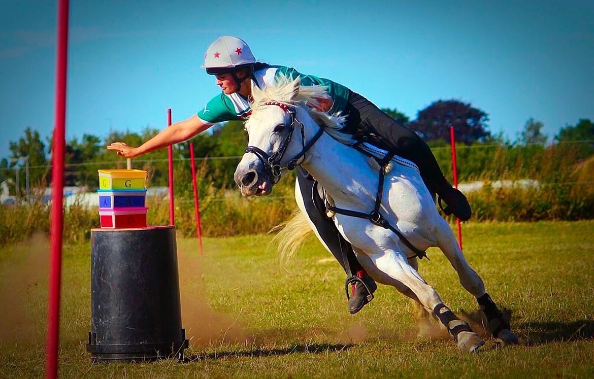 Connemara Miriam billede 19