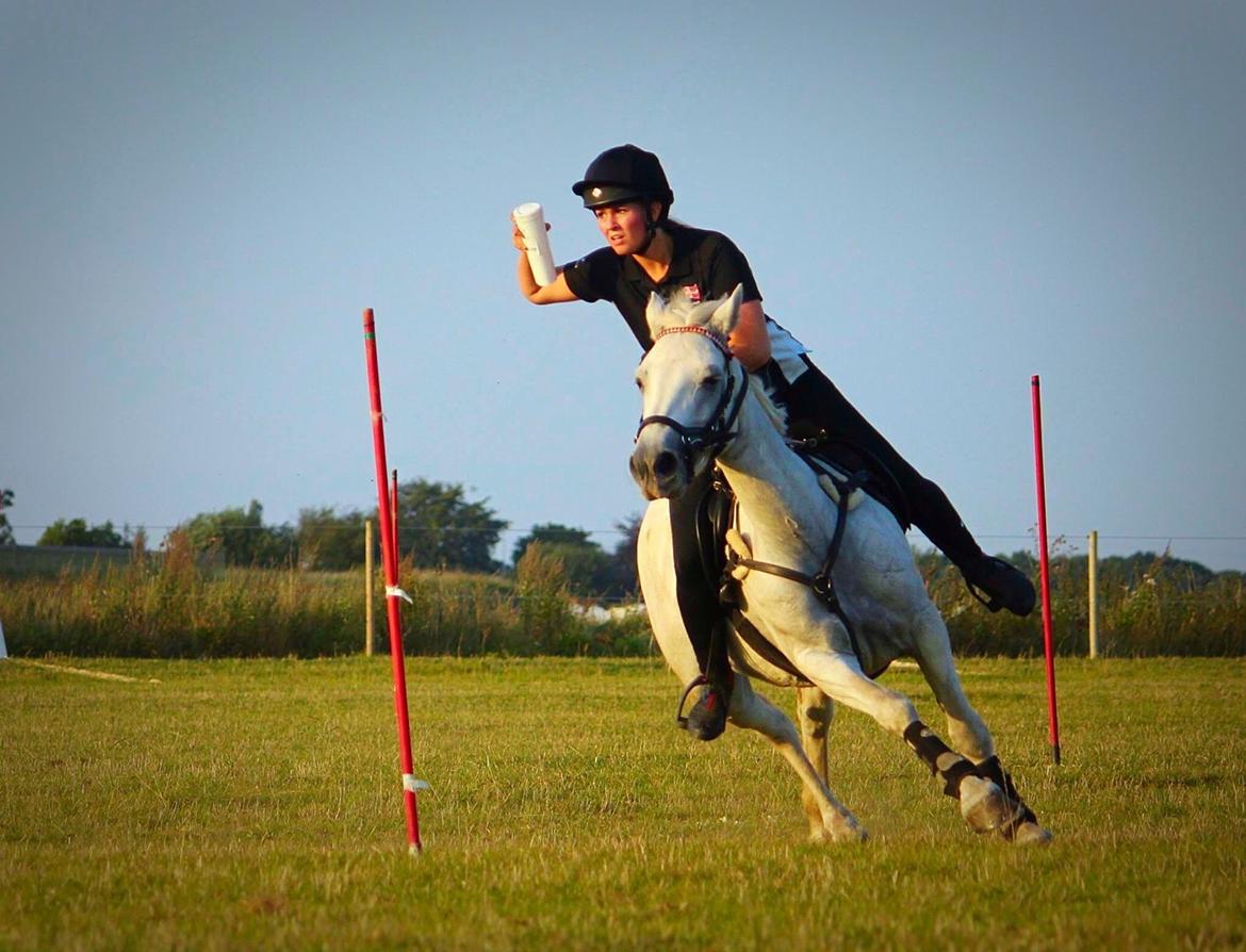 Connemara Miriam billede 20