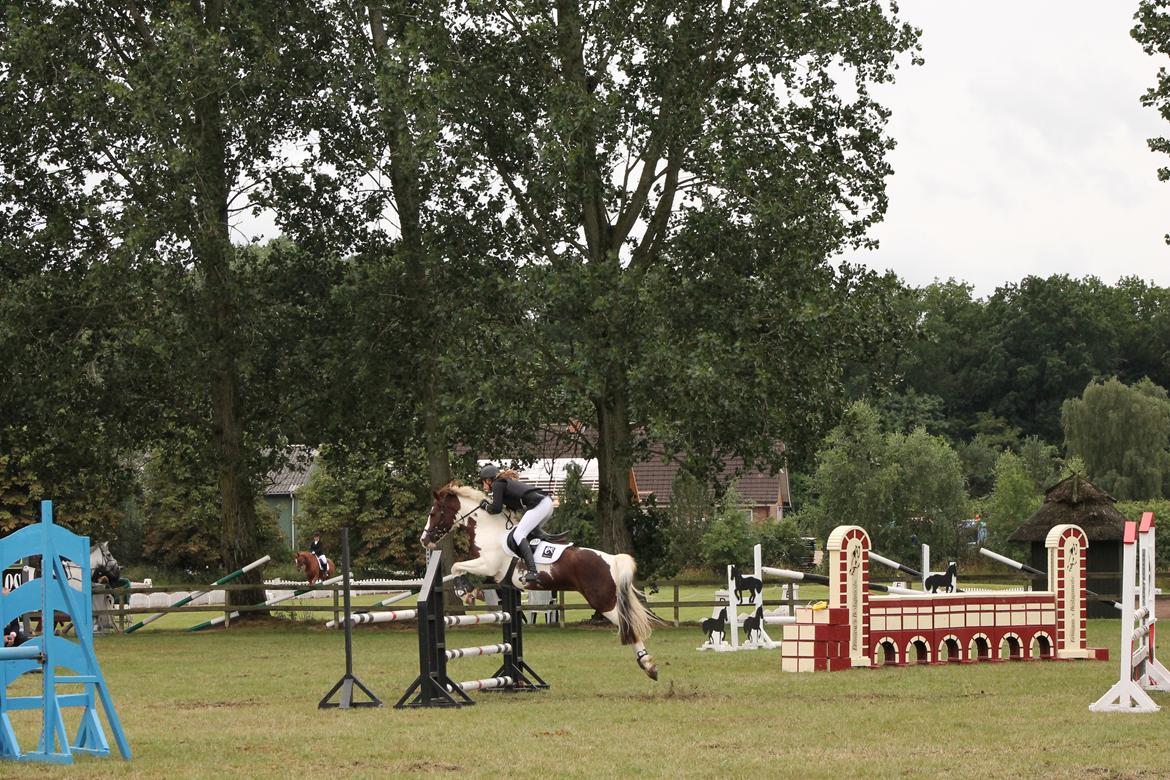 Pinto Schillinggaards monique - D4 Horseshow 2016 billede 18