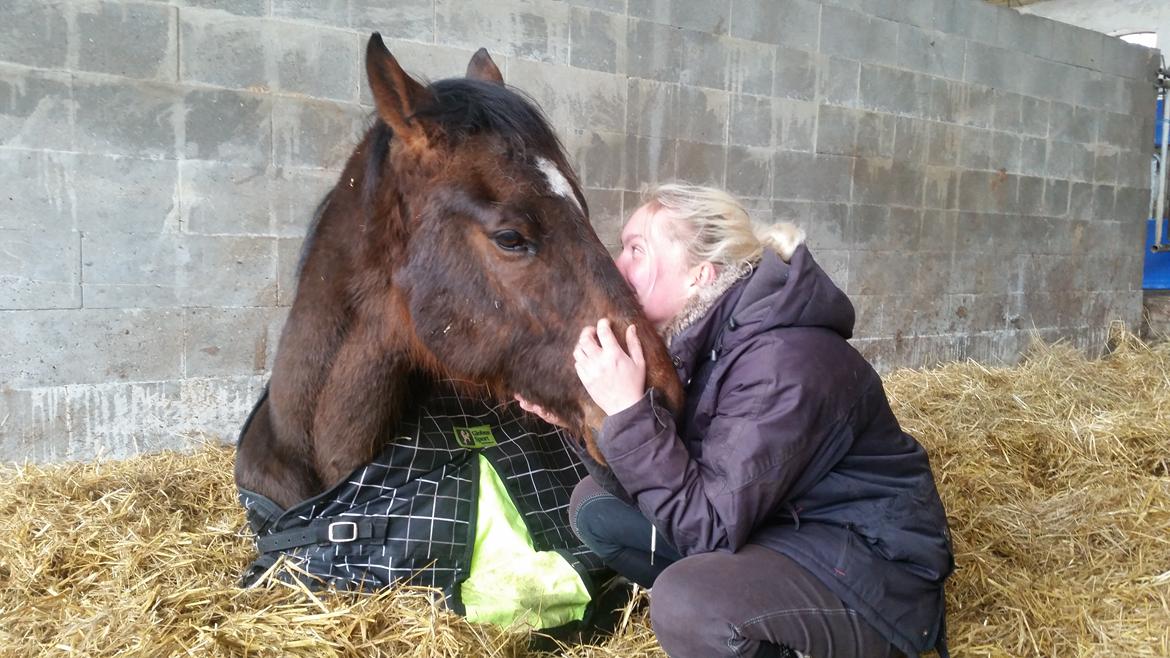 Fuldblod (XX) Second Chance Jojo  billede 2