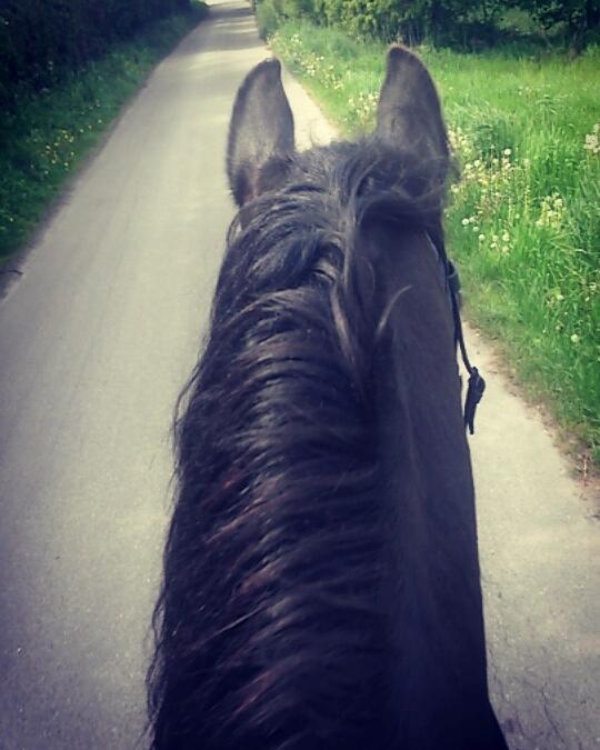 Frieser Enjoy Aslan - Tur :) billede 5