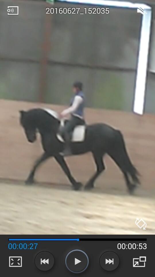 Frieser Enjoy Aslan - Efter vi rykkeder over i en støre rideklub :-) billede 7