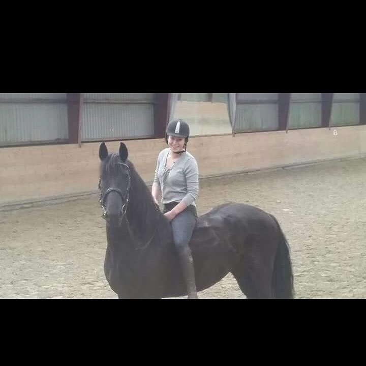 Frieser Enjoy Aslan - <3 billede 8